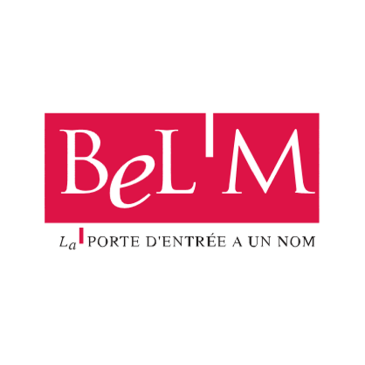 Model format Logo